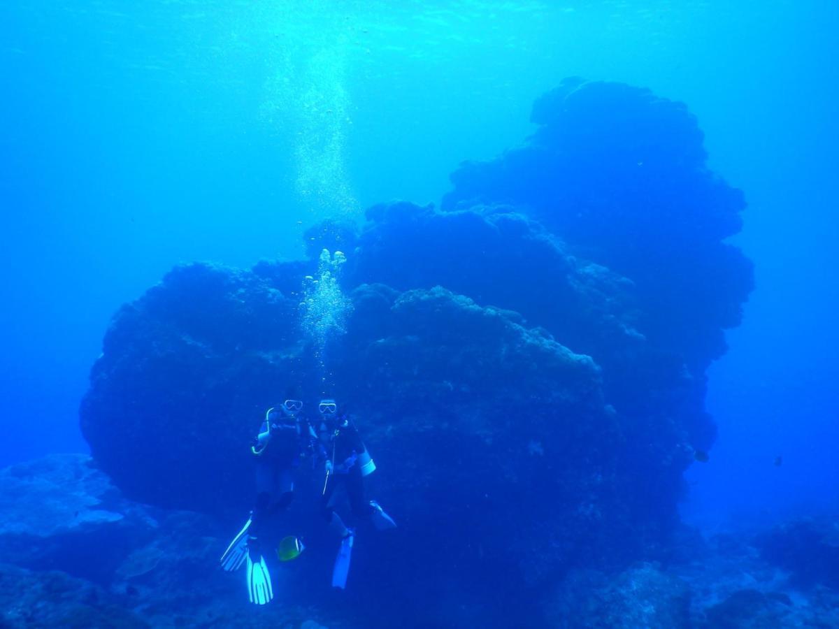 Green Island 9 Padi Leilighet Eksteriør bilde